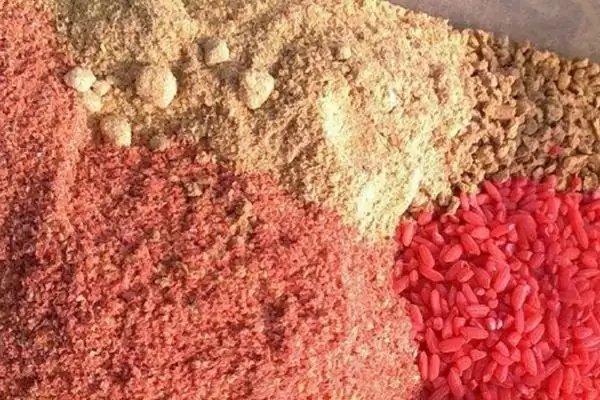 图片[3]-野河打窝适合用什么饵(野河打窝用什么饵合适)？-会东网