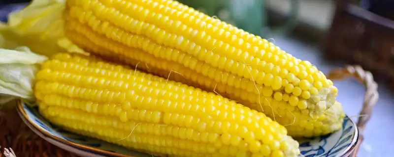 兴丰178玉米种子特点及出苗至成熟天数要点？-会东网