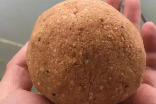 图片[4]-专钓草鱼的饵料配方，自制饵料可使用玉米、小米、麦麸等材料？-会东网