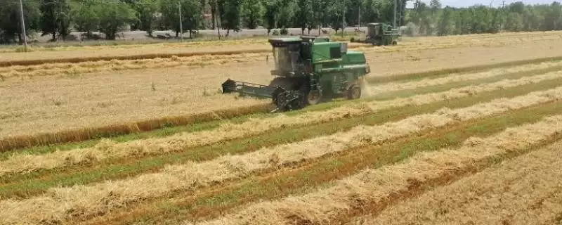 夏收时间介绍：一般5-6月份相关要点？-会东网