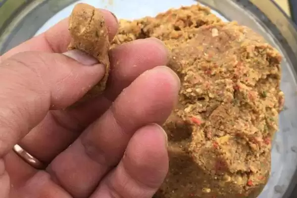 图片[12]-怎么钓鲮鱼(钓鲮鱼常用的方法有哪些)？-会东网