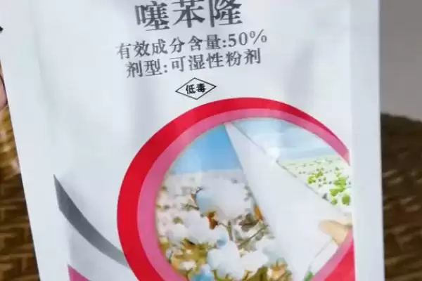 图片[5]-植物生长激素有哪些类型(植物生长激素公认种类包括5个)？-会东网