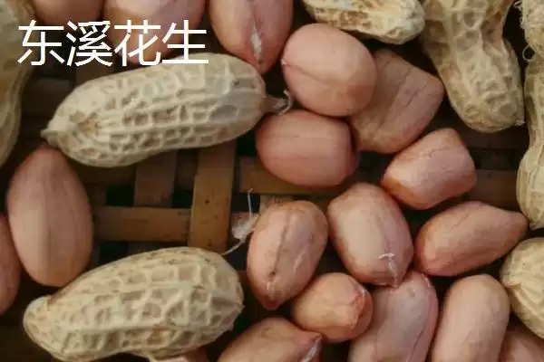 图片[8]-重庆市綦江有啥特产(重庆市綦江特产黑山方竹笋为中国独有)？-会东网