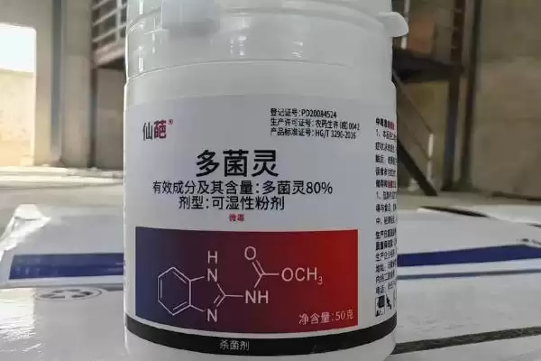 图片[5]-玉米病害的防治方法(玉米常见病害防治方法有哪些)？-会东网