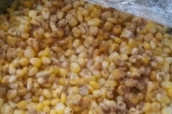 图片[6]-自制钓鲫鱼窝料配方，这6款可统杀鲫、鲤、草、鳊鱼？-会东网