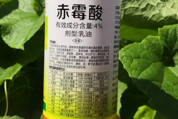 图片[3]-植物生长激素有哪些类型(植物生长激素公认种类包括5个)？-会东网