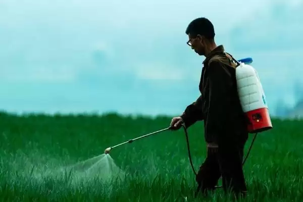 图片[3]-烟嘧莠去津除草见效时间及7天左右见效要点？-会东网
