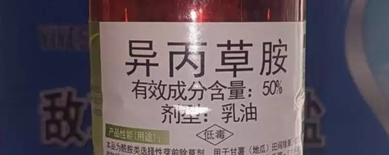 异丙草胺苗后能用吗(异丙草胺苗后能否使用)？-会东网