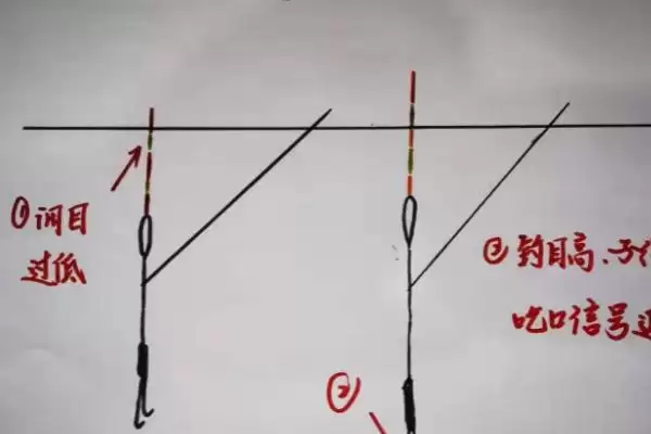 图片[2]-野钓鲤鱼怎么调漂(野钓鲤鱼调漂方法有哪些)？-会东网