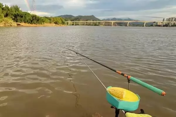 图片[4]-野钓鳊鱼的最佳水深(野钓鳊鱼最佳水深是多少)？-会东网