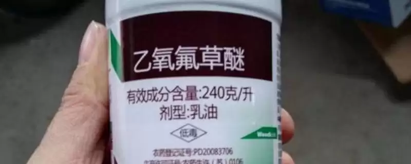 乙氧氟草醚可以除什么草(乙氧氟草醚能除哪些草)?-会东网