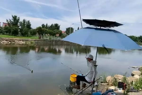 图片[6]-野钓鳊鱼的最佳水深(野钓鳊鱼最佳水深是多少)？-会东网