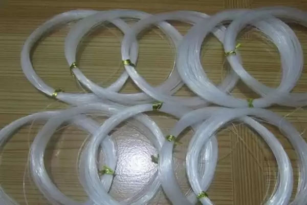 图片[2]-夏天钓鲫鱼用线选择及根据体型大小要点？-会东网