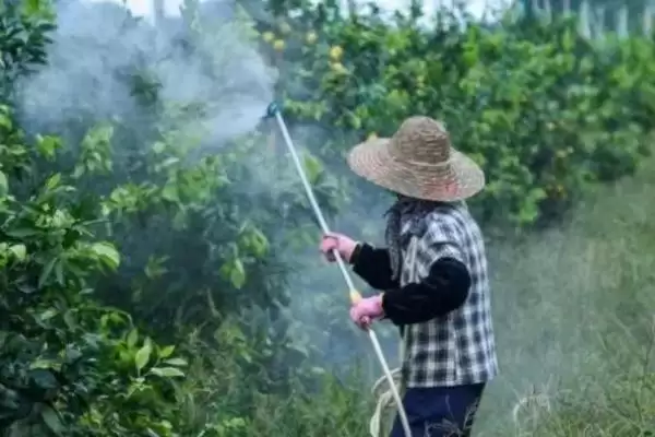 图片[2]-乙氧氟草醚可以除什么草(乙氧氟草醚能除哪些草)？-会东网