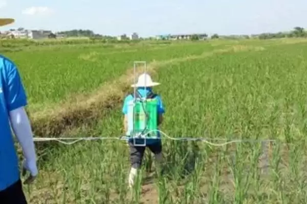 图片[3]-除草剂不同品种残留期不同(除草剂残留期与品种关系有哪些要点)？-会东网