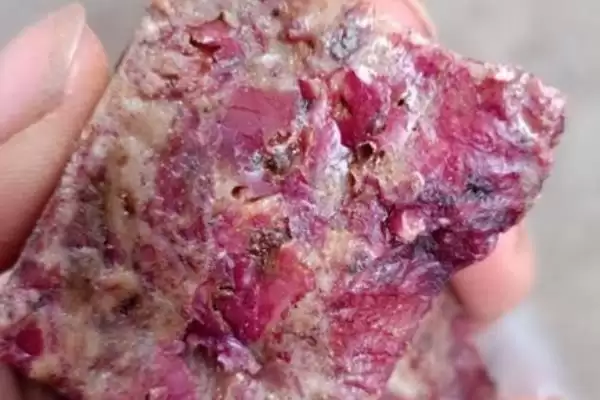 图片[8]-黄鳝笼以活鱼虾蚯蚓等为诱饵的要点(黄鳝笼以活鱼虾蚯蚓等为诱饵要点)？-会东网