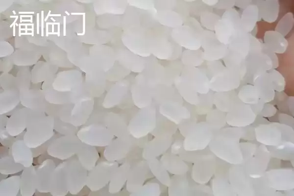 图片[4]-东北大米北大荒、金龙鱼等品牌受青睐(东北大米品牌受青睐有何优势)？-会东网