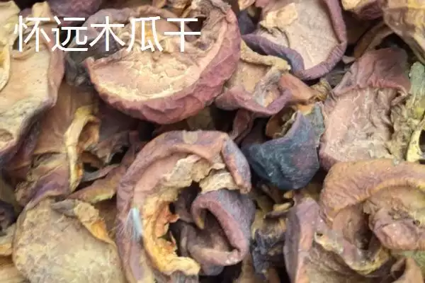 图片[2]-怀远八干指怀远木瓜干等特产相关介绍(怀远八干指怀远木瓜干等特产介绍)？-会东网