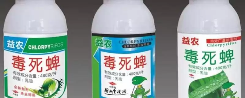 毒死蜱可灭杀鳞翅目、鞘翅目等害虫(毒死蜱灭杀害虫有何优势及范围)?-会东网