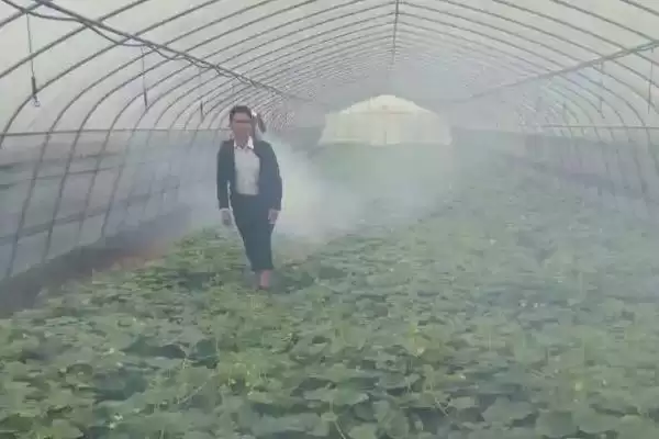 图片[5]-多抗霉素能防治的病害种类(多抗霉素能防治哪些病害，对蔬菜苗期碎倒病、黄瓜霜霉病等有效)？-会东网