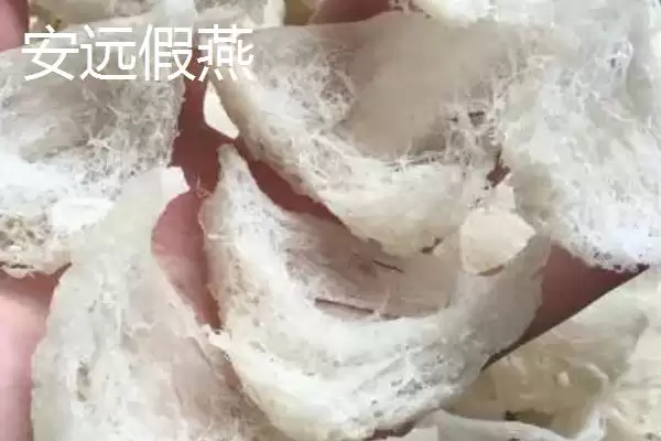 图片[10]-怀远八干指怀远木瓜干等特产相关介绍(怀远八干指怀远木瓜干等特产介绍)？-会东网