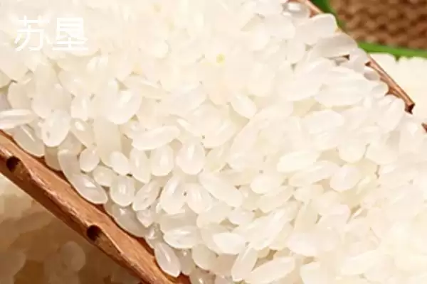 图片[10]-东北大米北大荒、金龙鱼等品牌受青睐(东北大米品牌受青睐有何优势)？-会东网