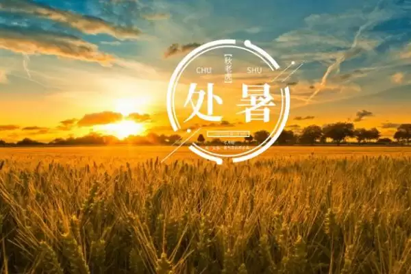 图片[4]-处暑节气意味着进入气象意义的秋天(处暑节气进入气象秋天有何特点)？-会东网