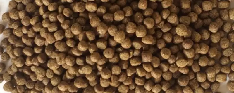 草鱼饲料利用合适原材料不同比例制作混合料(草鱼饲料配方制作有何要点)?-会东网