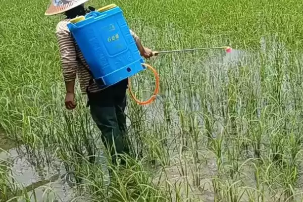 图片[4]-噻呋酰胺防治对象介绍(噻呋酰胺可防治纹枯病等病害)？-会东网