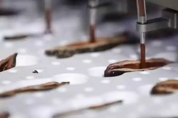 图片[6]-槟榔一般采用种子育苗移裁(槟榔种植育苗移栽有何要点)？-会东网