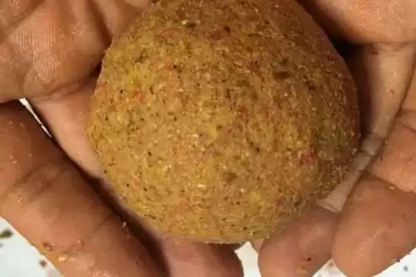 图片[8]-手竿钓白条鱼饵料选择(手竿钓白条鱼可选自然和商品饵料)？-会东网