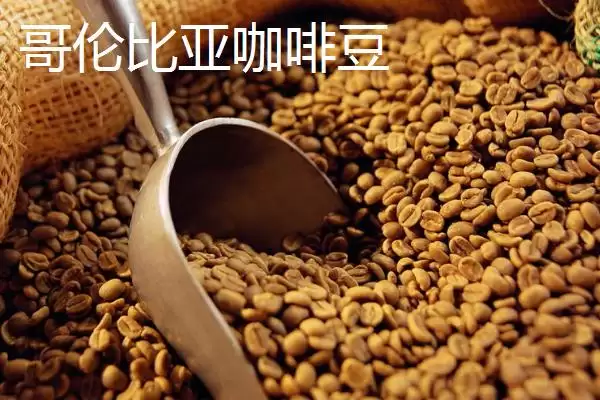 图片[3]-咖啡豆的种类及口感差异(咖啡豆的种类，口感均不同)？-会东网