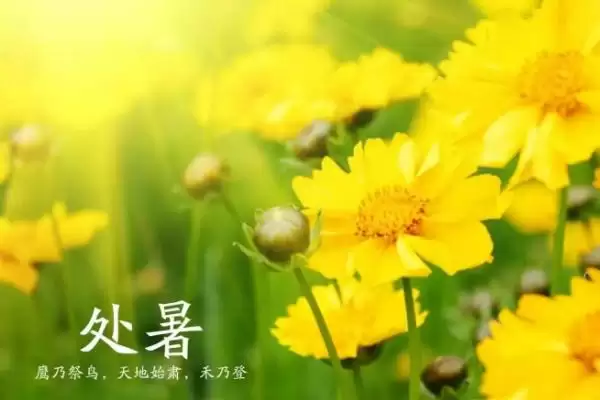 图片[3]-处暑节气意味着进入气象意义的秋天(处暑节气进入气象秋天有何特点)？-会东网