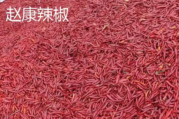 图片[2]-山西省襄汾县特产介绍(山西省襄汾县有地黄药材营销基地)？-会东网