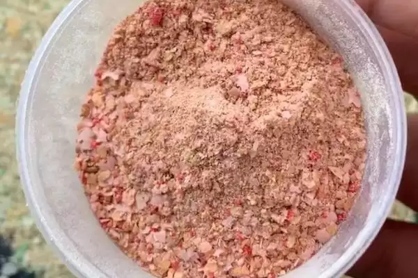 图片[3]-冬天用蚯蚓和商品饵的对比(冬天是用蚯蚓好还是商品饵好，二者各有优势)？-会东网