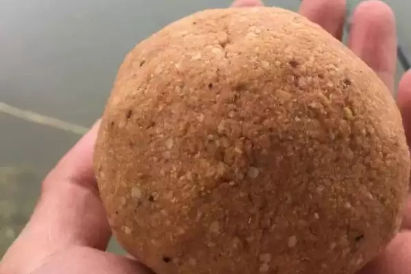 图片[3]-老鬼鱼饵的配方搭配相关要点(老鬼鱼饵的配方，搭配方法因垂钓对象而异)？-会东网