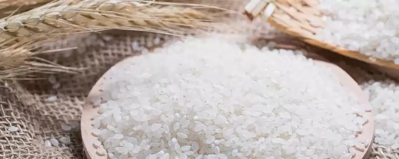 湖北八种优质大米中瓦仓大米堪称精品详情(湖北八种优质大米中瓦仓大米精品详情)?-会东网