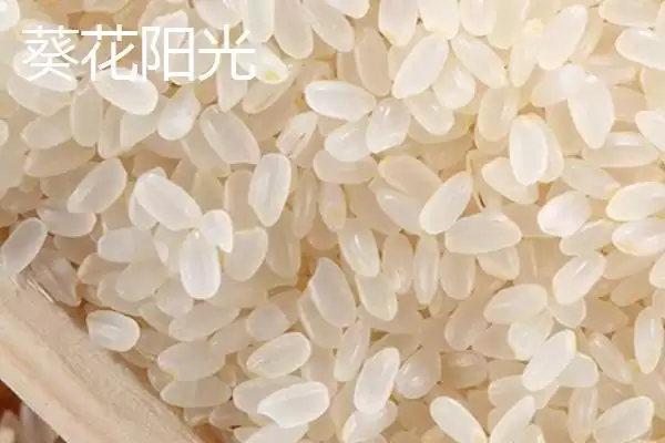 图片[6]-东北大米北大荒、金龙鱼等品牌受青睐(东北大米品牌受青睐有何优势)？-会东网