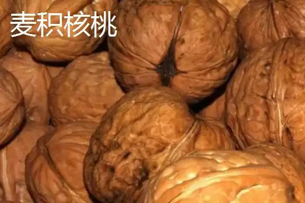 图片[6]-甘肃省天水市的特产水果种类(甘肃省天水市有哪些特产水果，包括秦安蜜桃、秦安苹果、麦积核桃等种类)？-会东网