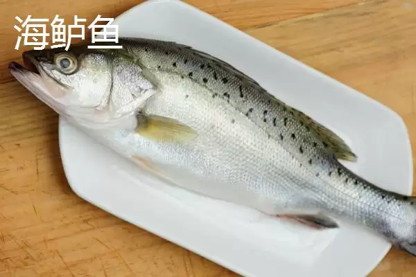 图片[7]-淡水鲈鱼的养殖具体方法(淡水鲈鱼如何养殖，需根据水色和透明度及时加注新水)？-会东网