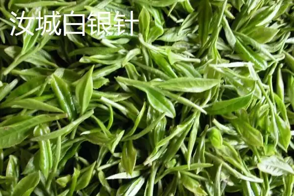 图片[5]-湖南汝城县素有“鸡鸣三省，水注三江”美誉介绍(湖南汝城县“鸡鸣三省，水注三江”美誉介绍)？-会东网