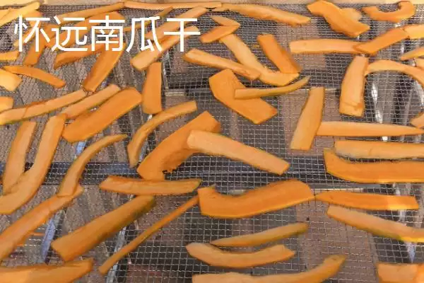 图片[3]-怀远八干指怀远木瓜干等特产相关介绍(怀远八干指怀远木瓜干等特产介绍)？-会东网