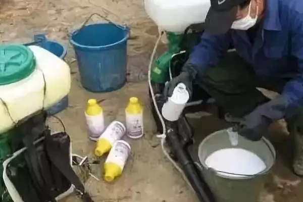 图片[3]-混配毒死蜱不可与碱性农药混用的要点(混配毒死蜱不可与碱性农药混用要点)？-会东网