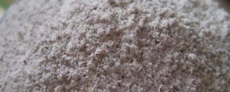 全麦粉介绍(全麦粉是小麦多部分精磨制成的面粉)？-会东网