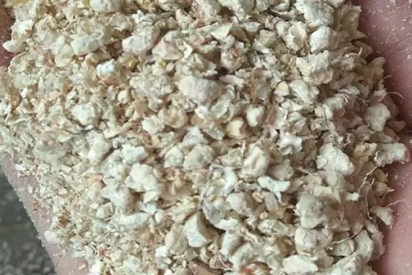 图片[4]-识别食用菌杂菌方法介绍(从颜色、气味等区分食用菌杂菌)？-会东网