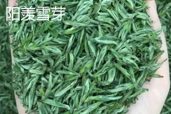 图片[6]-江苏名茶推荐相关品牌情况(江苏名茶推荐，介绍排行榜前十名)？-会东网