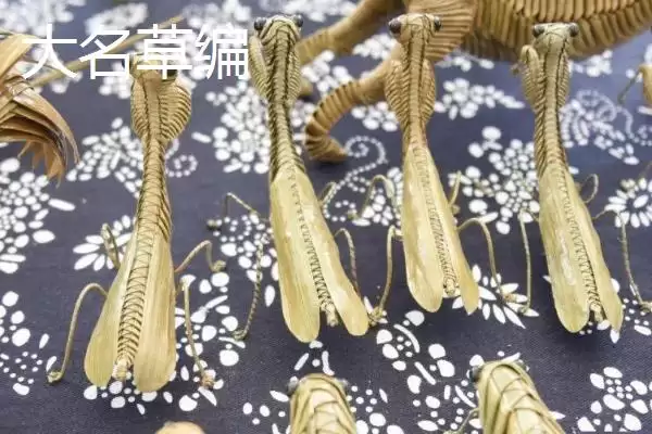 图片[4]-河北大名县的特产相关情况(河北大名县的特产，大蒜种全国驰名)？-会东网