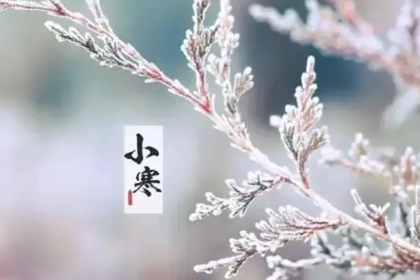 图片[6]-二十四节气的起源相关地区(二十四节气的起源，黄河流域是起源地)？-会东网