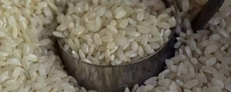 大米颜色发暗可能是存放时间过久导致(大米颜色发暗原因有何影响)？-会东网