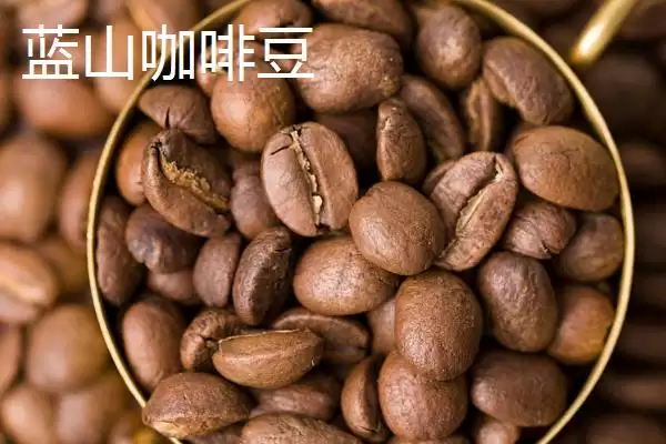 图片[2]-咖啡豆的种类及口感差异(咖啡豆的种类，口感均不同)？-会东网